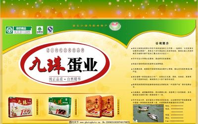 九珠蛋業(yè) 匠心傳承，自然饋贈——皮蛋與咸蛋的綠色美味